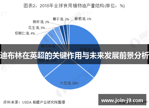 迪布林在英超的关键作用与未来发展前景分析 迪布林在英超的关键作用与未来发展前景分析